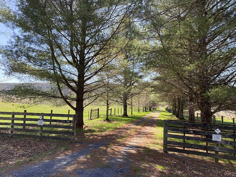 Hayfields Farm lane